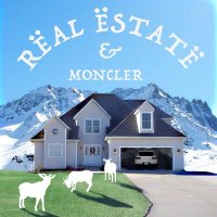 Постер песни VNDREW - real estate & moncler