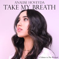 Постер песни Analise Hoveyda - Take My Breath