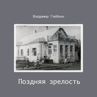 Постер песни Владимир Глебкин - Ясность приходит с возрастом как осенний вечер