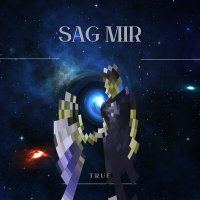 Постер песни True - Sag Mir