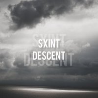 Постер песни SXINT - DESCENT