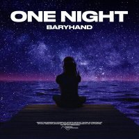 Постер песни Baryhand - One Night