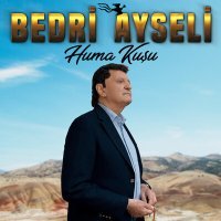 Постер песни Bedri Ayseli - Bir Mumdur