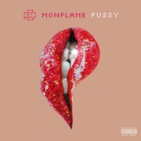 Постер песни Monflame - Pussy