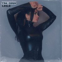 Постер песни Tim Dian - Leile