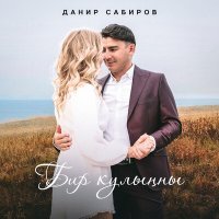 Постер песни Данир Сабиров - Бир кулынны