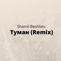 Постер песни Shamil Beshliev - Туман (Remix)