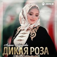 Постер песни Алина Мусиева - Дикая роза