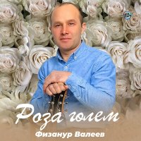 Постер песни Физанур Валеев - Роза гөлем