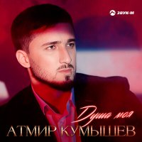 Постер песни Атмир Кумышев - Душа моя