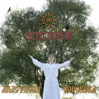 Постер песни Анастасия Сорокова - Девичья доля