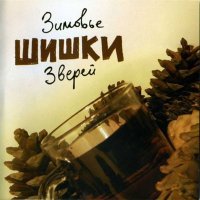 Постер песни Зимовье зверей - Отложения во времени