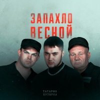 Постер песни ТАТАРИН, Бутырка - Запахло весной (Dimas & D-Music Remix)
