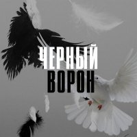 Постер песни Аслан Улпанов - Черный ворон