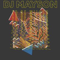 Постер песни DJ Mayson - To Be Wilder