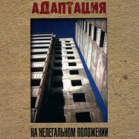 Постер песни Адаптация - Стрёмные дни