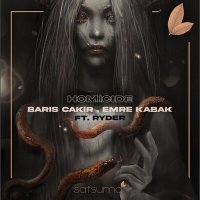 Постер песни Barış Çakır, Emre Kabak, Ryder - Homicide