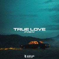 Постер песни PVSHV - True Love