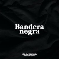 Постер песни Slim Dawg - Bandera Negra