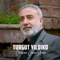 Постер песни Turgut Yıldıko - Çaresizim Canım Anam