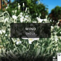 Постер песни Oxola - Wind