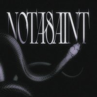 Постер песни NOTASAINT - Контроль