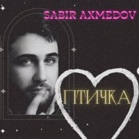 Постер песни Sabir Axmedov - Птичка