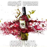 Постер песни Андрей Оршуляк - Твой полёт
