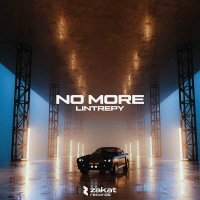 Постер песни Lintrepy - No More