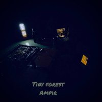 Постер песни Ampir - Tiny Forest