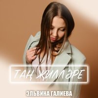 Постер песни Эльвина Галиева - Тан жиллэре
