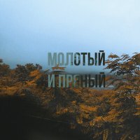 Постер песни KVLININ - Молотый и пряный