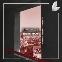 Постер песни SEINROY, Barış Çakır - Tablo (Barış Çakır Remix)