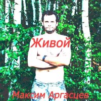 Постер песни Максим Аргасцев - Пускай наступит тот день