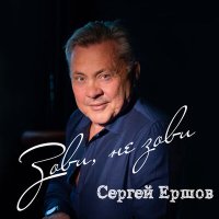 Постер песни Сергей Ершов - Зови не зови