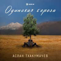 Постер песни Аслан Тхакумачев - Одинокая берёза