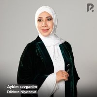 Постер песни Дилдора Ниязова - Aybim sevganim