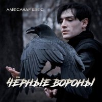 Постер песни Александр Шепс - Чёрные вороны