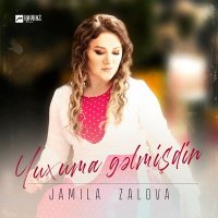 Постер песни Jamila Zalova - Yuxuma gəlmişdin