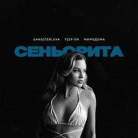 Постер песни GANGSTERLOVA, Teep On & МимоДома - Сеньорита