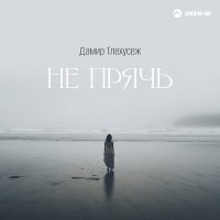 Постер песни Дамир Тлехусеж - Не прячь