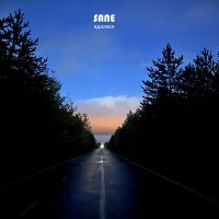 Постер песни SANE - Вдалеке