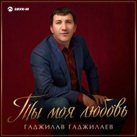 Постер песни Гаджилав Гаджилаев - Ты моя любовь