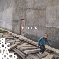 Постер песни Анатолий Крупнов - Стена