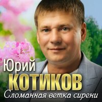 Постер песни Юрий Котиков - Сломанная ветка сирени