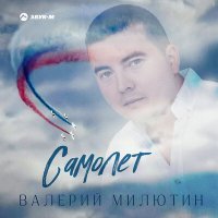 Постер песни Валерий Милютин - Самолёт
