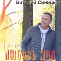 Постер песни Виталий Синицын - Любовь моя