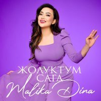 Постер песни Malika Dina - Жолуктум сага