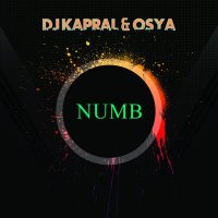 Постер песни Dj Kapral, Osya - Numb