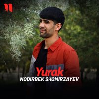 Постер песни Nodirbek Shomirzayev - Yurak